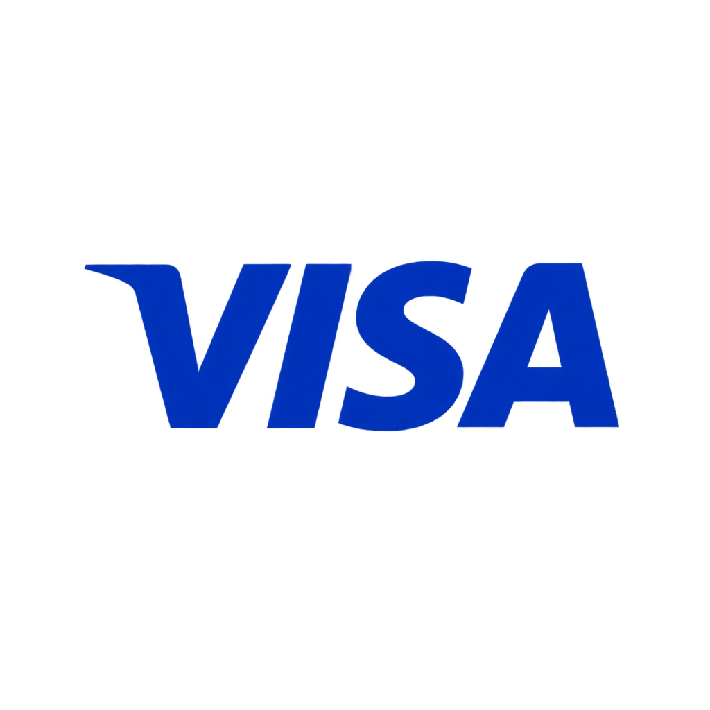 Visa icon